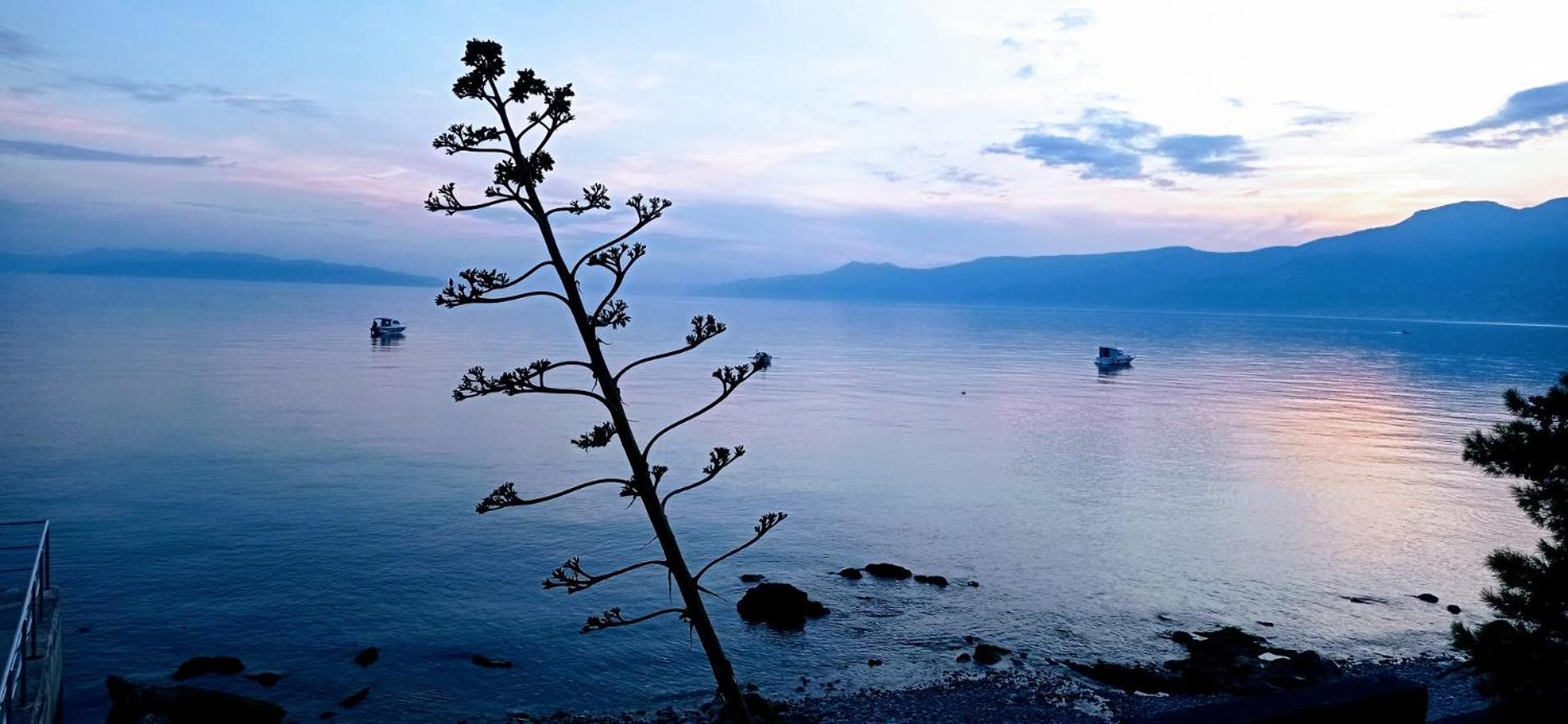 Apartment With View In Rijeka Eksteriør bilde